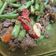 Cooksnap dari Evvy Fitriani untuk resep Tumis Buncis Daging Cincang #masakanindo 🇲🇨