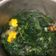 Cooksnap dari Karina Puspadila untuk resep Sayur Bening Bayam Sederhana