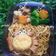 Cooksnap dari Aanggie Cooking untuk resep Chiken popcorn