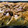El cooksnap de Luis C. Candia cuando hizo Strudel de manzana.