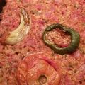 Cooksnap από Αθανασία Νταλαγιάννη ! στη συνταγή Γεμιστά της γιαγιάς Αθηνάς