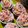 Cooksnap dari Nadia Zubi untuk resep Cupcake Kukus Coklat