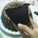Cooksnap dari Ambar Lestari. untuk resep Bolu Ketan Hitam Panggang