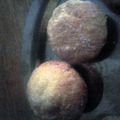 vicky772277's cooksnap of when they made Donut Muffins.