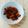 Leonella's cooksnap of when they made Auberginen Pickles in rotem Miso Dressing.