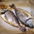 Cooksnap από Cleopatra στη συνταγή Τσιπούρα ψητή στο φούρνο