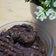 Cooksnap dari Yosephine untuk resep Crunchy Choco Oatmeal Cookies