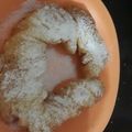 Cooksnap dari Yussie Ochin untuk resep Donat Gula (tanpa ulen, tanpa kentang, tanpa telur dan susu)