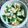 Papiya Alam's cooksnap of when they made Curd rice.