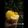 Madhuri Watekar's cooksnap of when they made पायनॅपल पंच (Pineaaple Punch recipe in marathi).