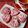 Irina Vilian's cooksnap of when they made Red velvet cookies.