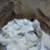 El cooksnap de Mario H. Davi cuando hizo Frutillas con crema chantilly.