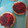 El cooksnap de Josefa cuando hizo Cheesecake de frutos rojos.