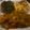 Iethia Thompson's cooksnap of when they made Jamaican Curry Shrimp.