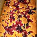 Czimer-Bárány Beáta Cooksnap-ja, amikor elkészítette a(z) Kékáfonyás és aszalt vörösáfonyás kevert süti 🫐🫐🫐 receptet.