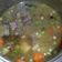 Cooksnap dari Fitha Handini untuk resep Sop Iga Sapi Rempah