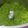 El cooksnap de Becky cuando hizo Pesto de albahaca.
