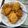 Cooksnap dari Novi Widyaningrum untuk resep 82. Bakwan Sayur Udang with Tepung Ladang Lima
