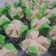 Cooksnap dari Indah Rahmayani untuk resep Bolu Kukus Mekar Neapolitan Anti Gagal by Fitsas