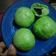 Cooksnap dari Fitri Kurnia untuk resep Bakpao Irit Ekonomis Aneka Rasa (coklat,unti kelapa,kacang)