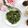 Cooksnap dari amalia untuk resep Sigeumchi Namul (시금치 나물) - Bayam Ala Korea