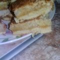 El cooksnap de Romina Cardozo cuando hizo Cuadrados de Coco y Dulce de Leche.