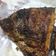 Cooksnap dari Rinta Anggraini untuk resep Ikan Bakar ala Pr!marasa