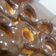 صورة من samah salama، شاركها بعد تجربة وصفة الدوناتس 😋🍩🍫
