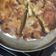 El cooksnap de Sergio Luis cuando hizo Torta de manzana acaramelada.
