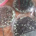 Cooksnap dari Mamah Athif untuk resep Puding pirex #BikinRamadhanBerkesan