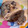 El cooksnap de rodcaro24 cuando hizo Pan dulce integral.