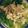 lisazirb's cooksnap of when they made Waldorf Style Salad with Chicken.