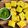 Rinkal’s Kitchen's cooksnap of when they made ઢોકળા(Dhokla Recipe in Gujarati).
