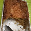 Cooksnap dari Faizah Alawiyah Syukur untuk resep Bolu Pisang Panggang Takaran Sendok Mudah