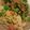 Deehines's cooksnap of when they made Chicken Broccoli- Mac and Cheese with Bacon.