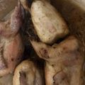 El cooksnap de Antonio Reyes Benegas cuando hizo Codornices guisadas a mi manera.