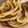 Cooksnap của Bò khi họ làm theo món Mì udon cà ri phục vụ Vợ