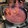 El cooksnap de Cindy B. C. cuando hizo Navegao.