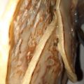 Cooksnap dari Adelia Azizah untuk resep Pancake Teflon