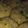 Haya Ali's cooksnap of when they made Chicken Shami kabab.