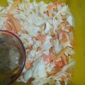 Cooksnap dari Lili Zahar untuk resep Coleslaw