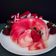 Cooksnap dari Shanty Yuniar untuk resep Puding Roti Tawar Zebra (Farah Quinn)