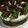El cooksnap de Rominita cuando hizo Torta de chocolate con frutillas y crema chantillí.