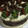 El cooksnap de Rominita cuando hizo Torta de chocolate con frutillas y crema chantillí.