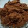Cooksnap dari Deby Chintia untuk resep Rendang Jengkol