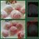Cooksnap dari Niken untuk resep Kue Mochi pelangi (pewarna alami) 👏🏼