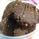 Cooksnap dari Deysi Nathalia Tollaah untuk resep CHOCO COOKIES KETO #ketopad_cp_anekakuker