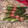 Cindy Villarreal's cooksnap of when they made Bacon wrapped Asparagus.
