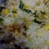 Cooksnap dari Putri untuk resep Nasi Goreng Cabe Ijo