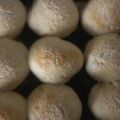 El cooksnap de Eduardo Horacio Torres cuando hizo Pan para hamburguesas 🍔.